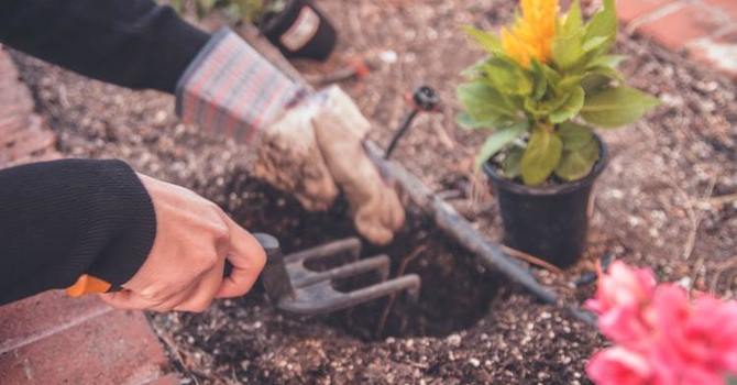 5 Safety Tips for Gardeners